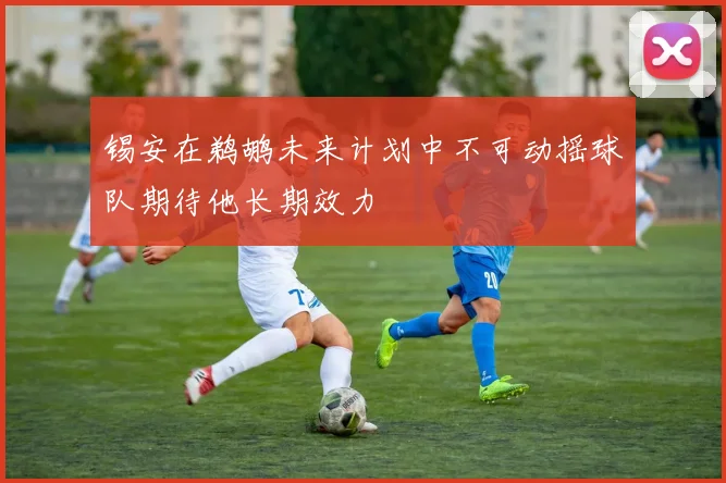 锡安在鹈鹕未来计划中不可动摇球队期待他长期效力