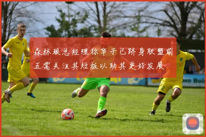 森林狼总经理称华子已跻身联盟前五需关注其短板以助其更好发展