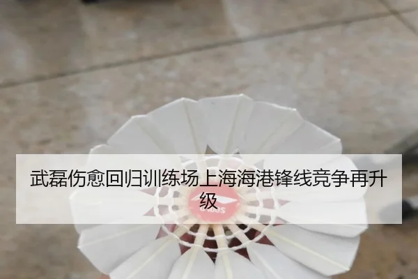 武磊伤愈回归训练场上海海港锋线竞争再升级